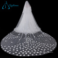 Perfect Lace Appliques Tulle Wedding Veil Long Cathedral